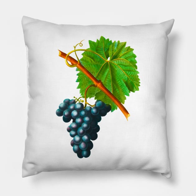 Bunch of grapes Pillow by Marccelus