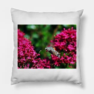 THE PANASONIC FZ 200 PAR OKAIO CREATION Pillow