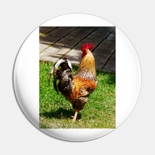 Chickens - Strutting Rooster Pin by SusanSavad