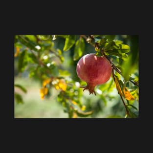 Postcard with Pomegranate - the symbol of prosperity and life. T-Shirt