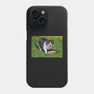 Cute Cat Phone Case