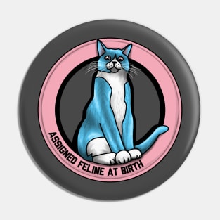 Assigned Feline At Birth Pin