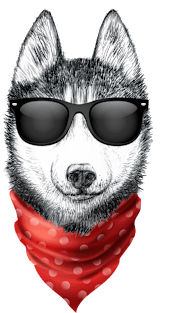 Siberian Husky Shirt with Sunglasses Magnet