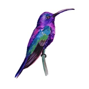 Violet Saberwing Hummingbird Watercolor Painting T-Shirt