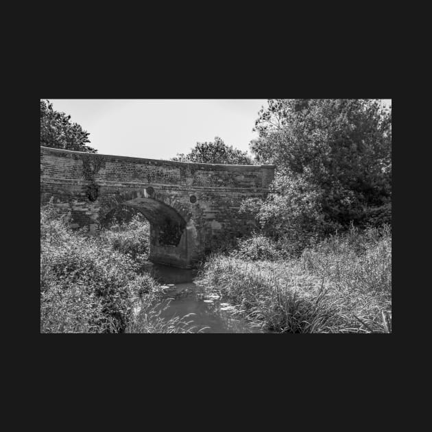 Brick bridge over the river by yackers1