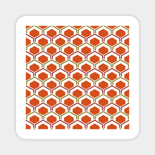 Mid Century Modern Hexagons Magnet