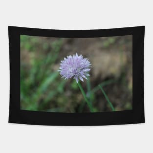 Green Onion Blossom in Garden Photographic Image Tapestry