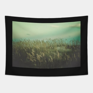 Summer Meditation Tapestry