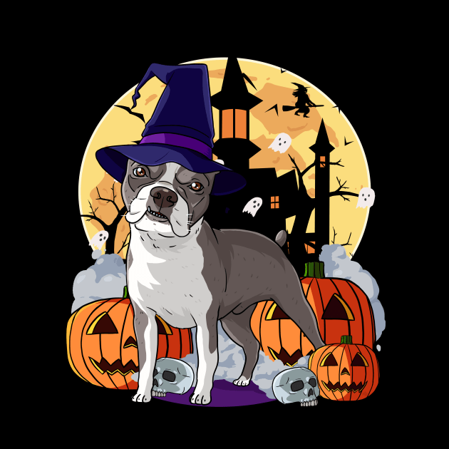 Boston Terrier Scary Halloween Witch Pumpkin by Noseking