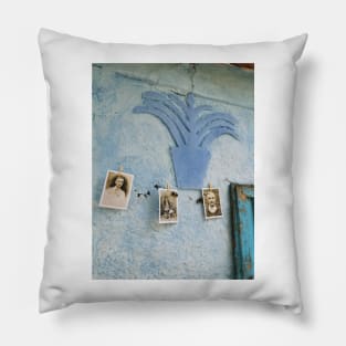 FAMILY TREE HAS DEEP ROOTS Pillow