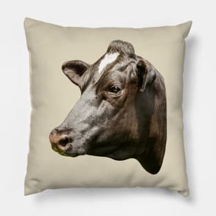 Friesian cow portrait Pillow