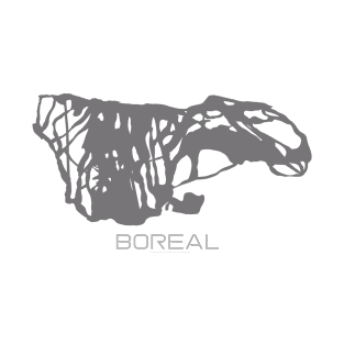 Boreal Resort 3D T-Shirt