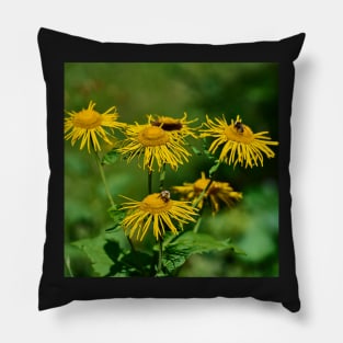 Alpine flowers Pillow