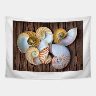 Six Chambered Nautilus Tapestry