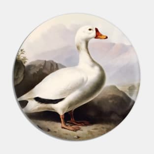 White Duck Pin