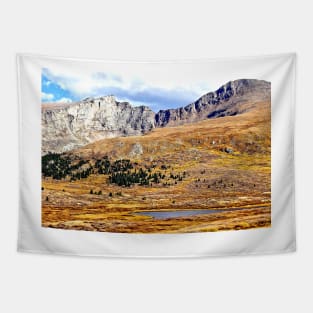 High Tundra Lake in the Rockies Tapestry