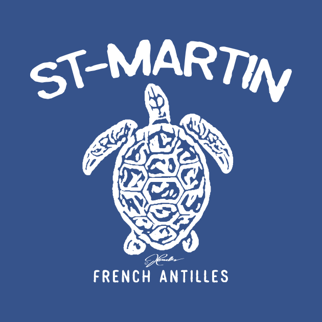 St. Martin, French Antilles, Sea Turtle by jcombs