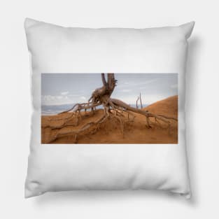 Walking Tree - Bryce Canyon - Utah Pillow