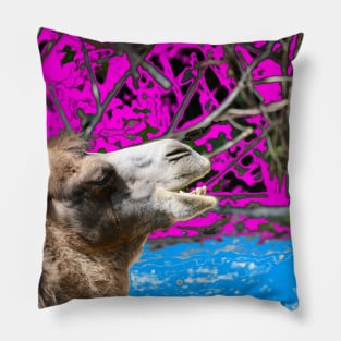 Kamel / Swiss Artwork Photography Pillow