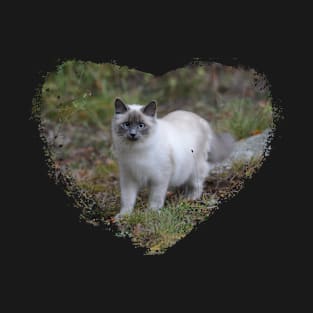 I Heart Cats T-Shirt