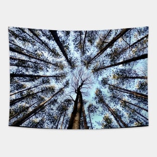 Looking up (Trees) Tapestry