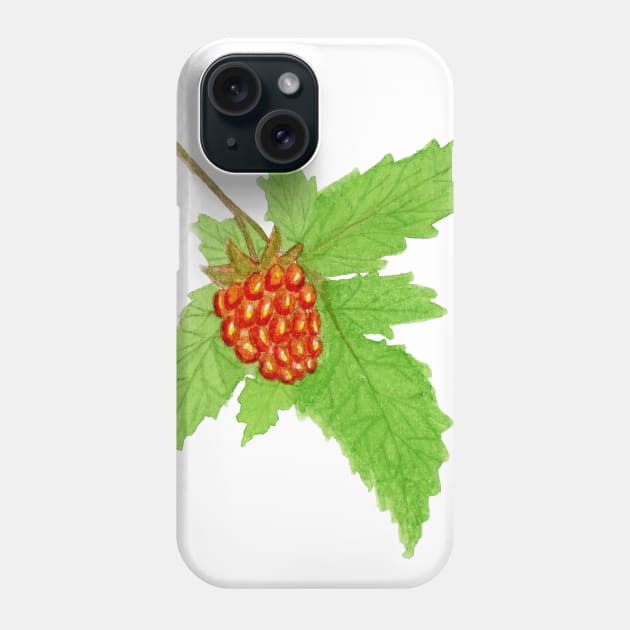 Watercolor Salmonberry Fruit Phone Case by paintedpansy