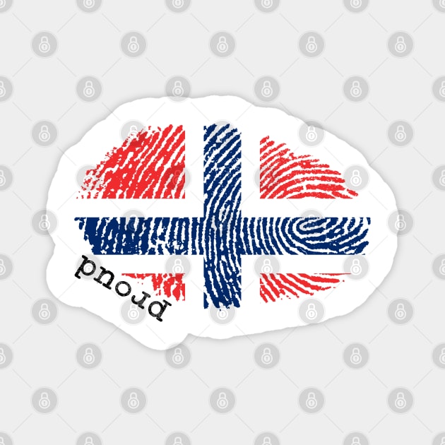 Norway flag Magnet by Shopx
