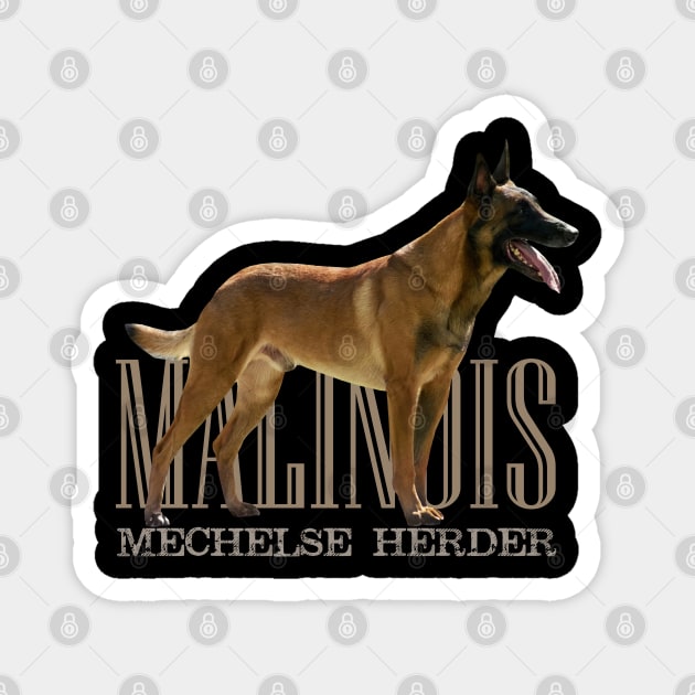 Malinois  - Belgian shepherd - Mechelaar Magnet by Nartissima