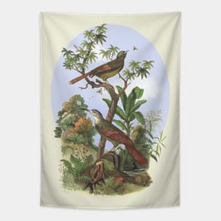 Tropical Birds Nature Illustration Tapestry