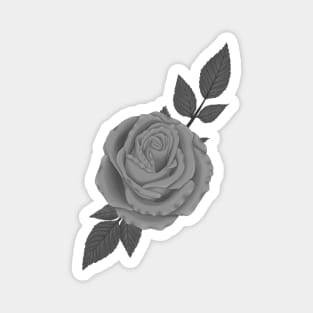 Rose Black and White Magnet