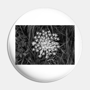 Seed Pod Black and White Pin