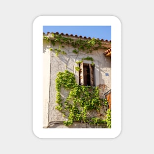 Vine on Greek house. Magnet