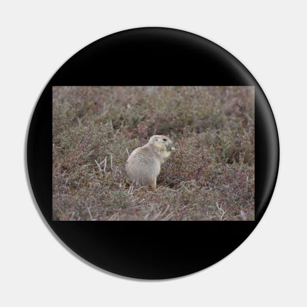 Prairie Dog Pin by MarieDarcy