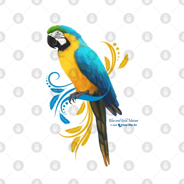 Blue and Gold Macaw by Sylvanmistart