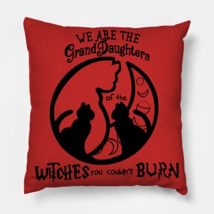 We are the Witches Pillow