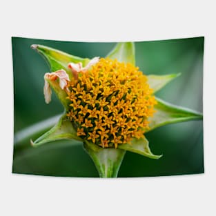 Mexican-Sunflower Photograph Tapestry