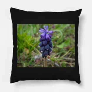 Purple Flower Pillow