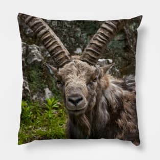 Ibex Pillow