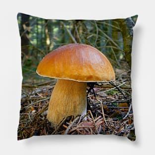 Boletus edulis. Pillow