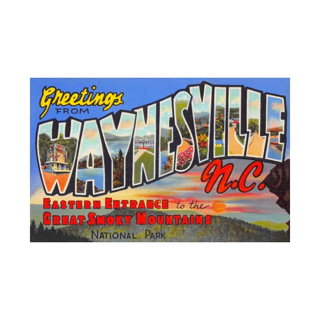 Greetings from Waynesville, North Carolina - Vintage Large Letter Postcard by Naves