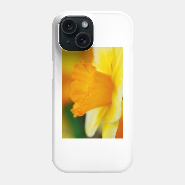 Narcissus  'Derringer'  Daffodil  Div. 7  Jonquilla Phone Case by chrisburrows