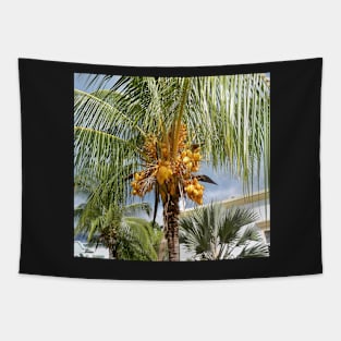 Coconut Tapestry