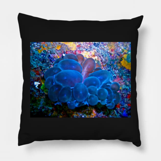 Bubble Coral Blues! Pillow by dumbodancer