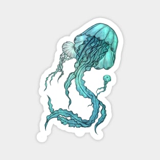 Turquoise Jellyfish Magnet