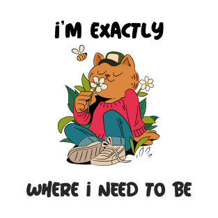 I'm exactly where I need to be T-Shirt