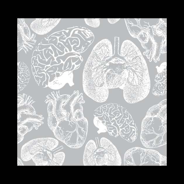 Anatomical Organs - White on Grey by Beth Thompson Art