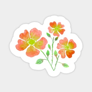 Wild Roses in Orange Magnet