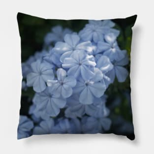 Scenic Flowers Blue Pillow