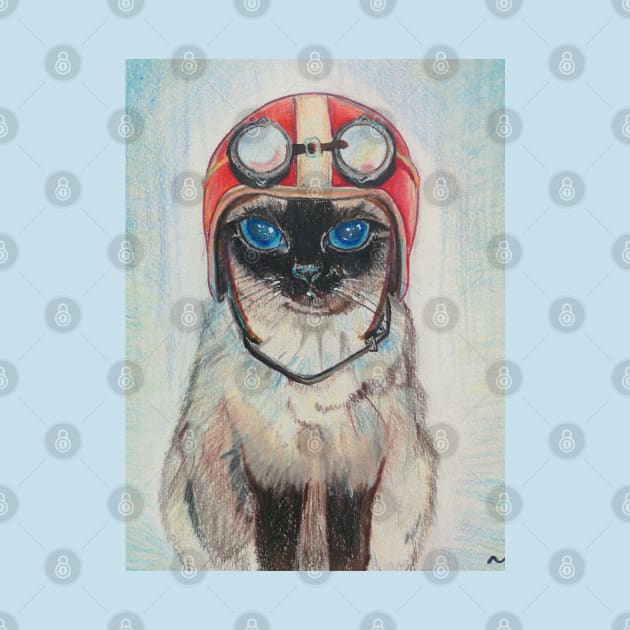 Aviator Cat by Novaart