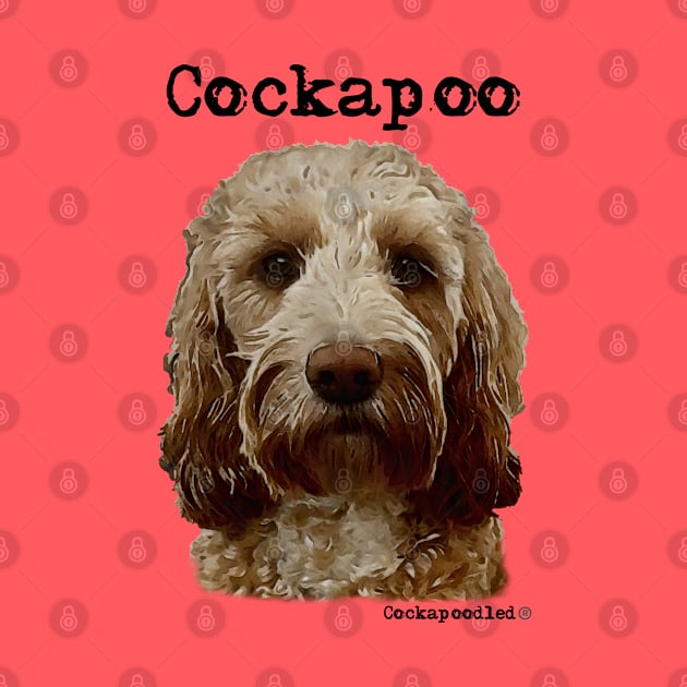 Golden Apricot Cockapoo / Spoodle and Doodle Dog by WoofnDoodle 